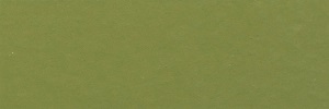 British R.A.F. Interior Green
